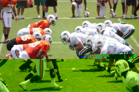 Dolphins Training camp01.JPG