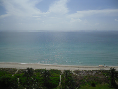 vu du balcon.JPG
