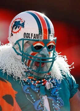 dolfan  miami2.jpg